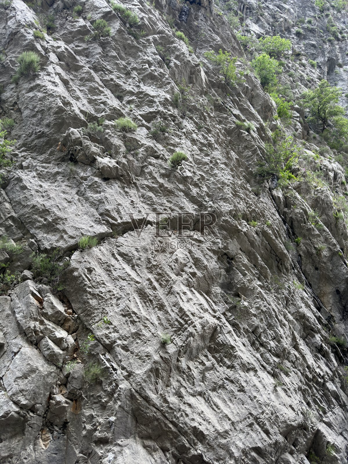 自然背景照片摄影图片