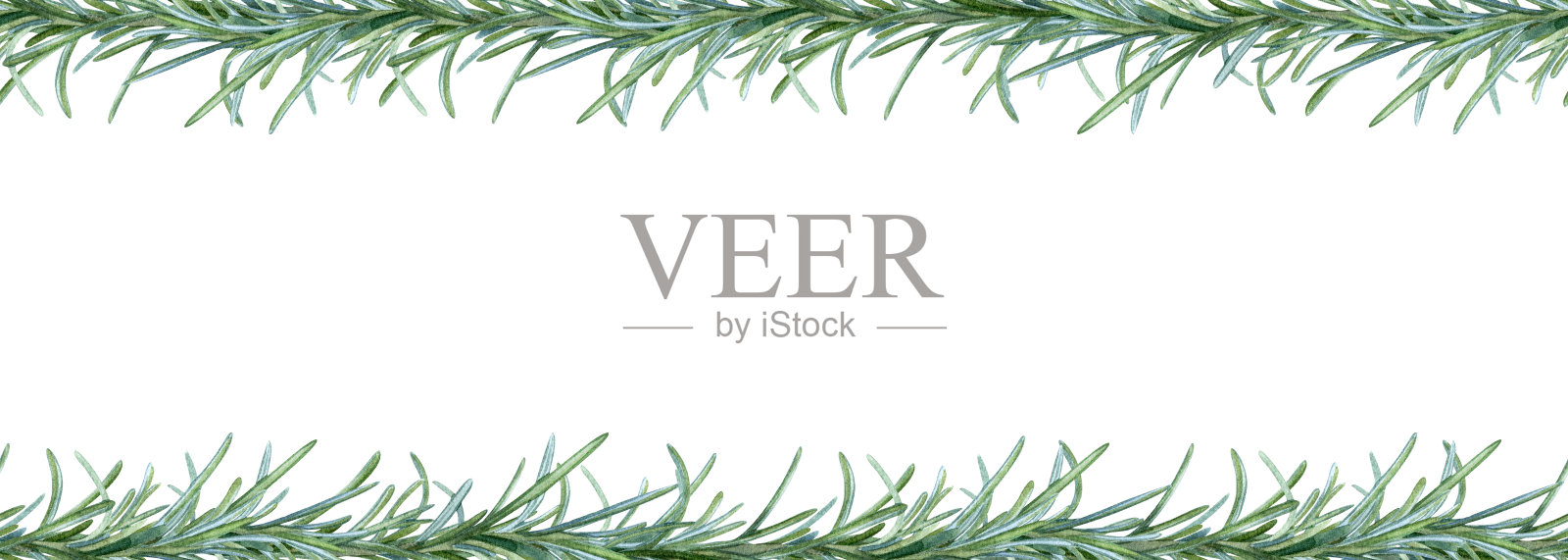 迷迭香枝边，手绘，香料食品。框架，明信片设计横幅，包装，牛皮纸，厨房布。插画图片素材