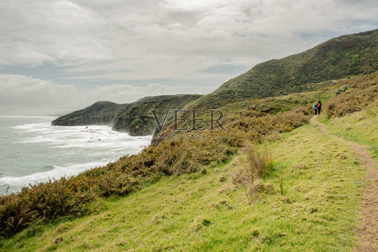 两个无法辨认的徒步旅行者走在新西兰亨加步道的狭窄小路上。照片摄影图片