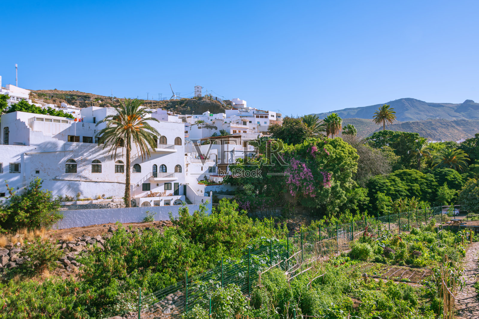 小菜园在Agaete照片摄影图片