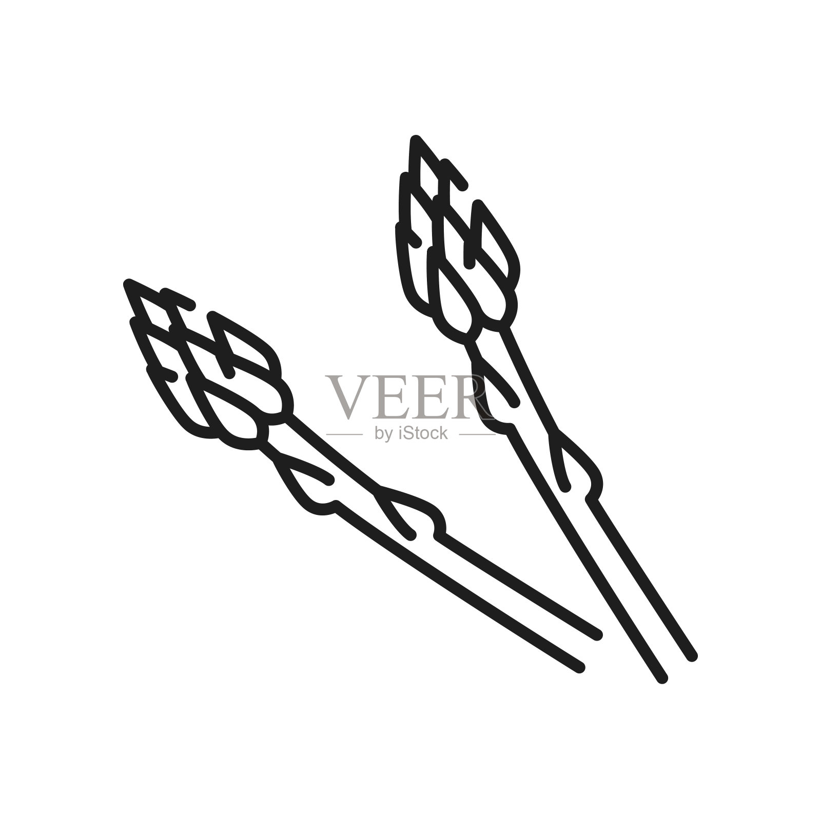 芦笋香草堆，一束麻雀草图标插画图片素材