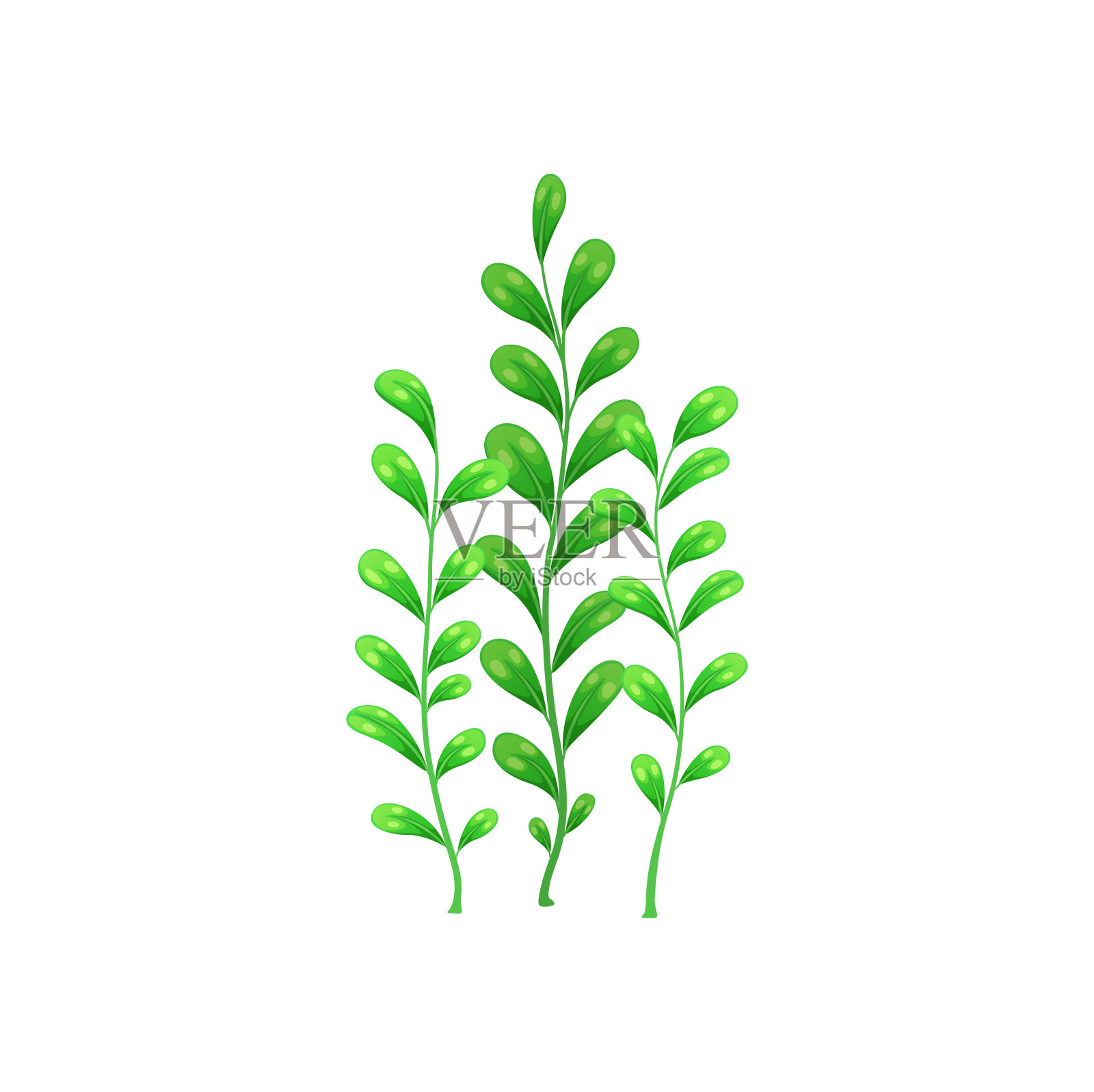 卡通水下海藻，水族馆和海藻插画图片素材