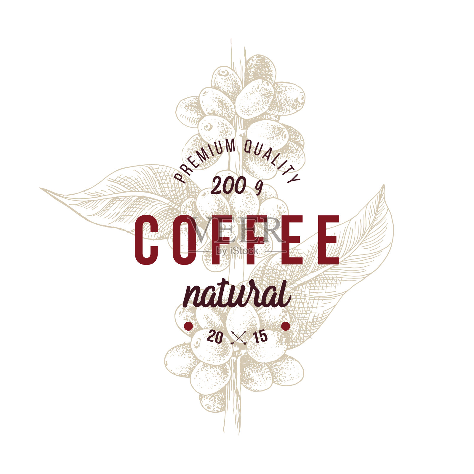 手绘咖啡枝上的型徽。包装设计。插画图片素材