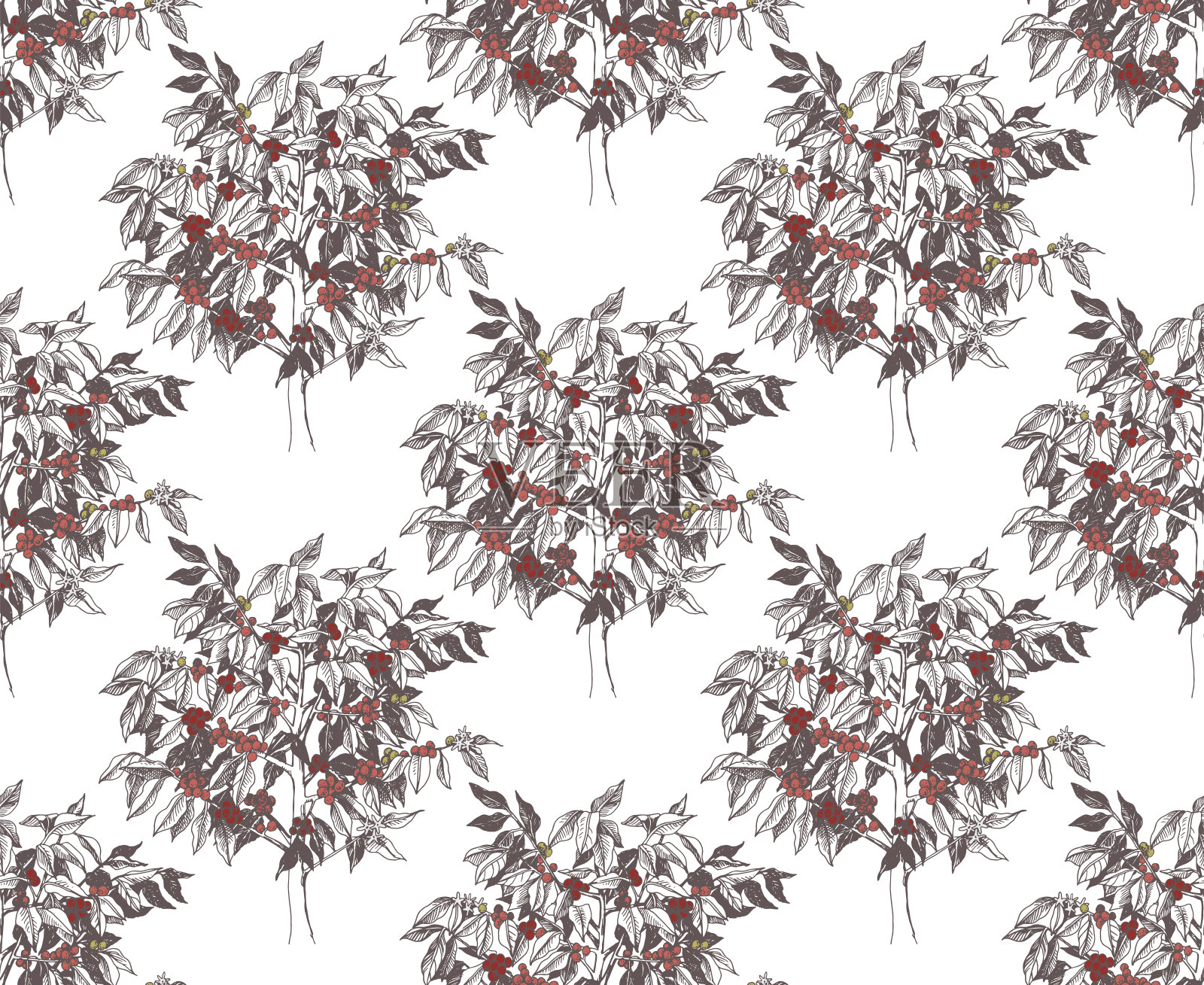 与年轻的阿拉比卡咖啡树无缝图案插画图片素材