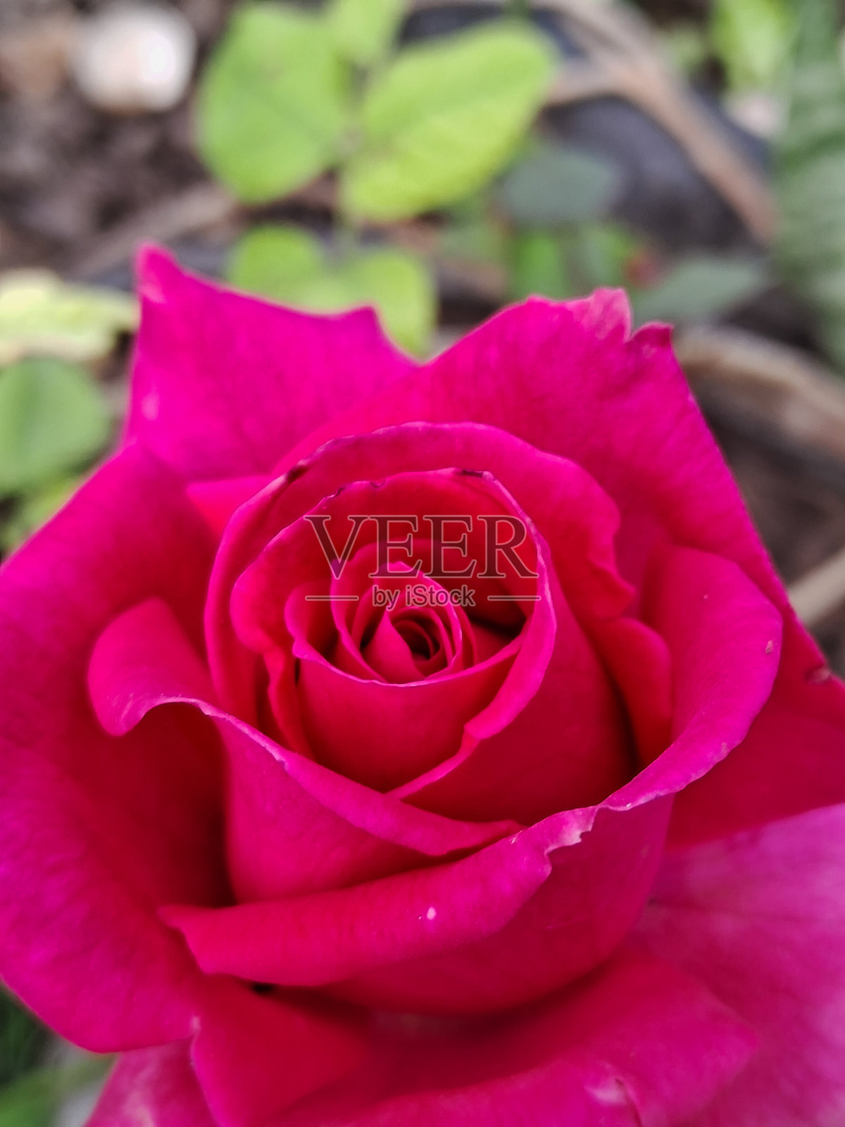 爱照片摄影图片