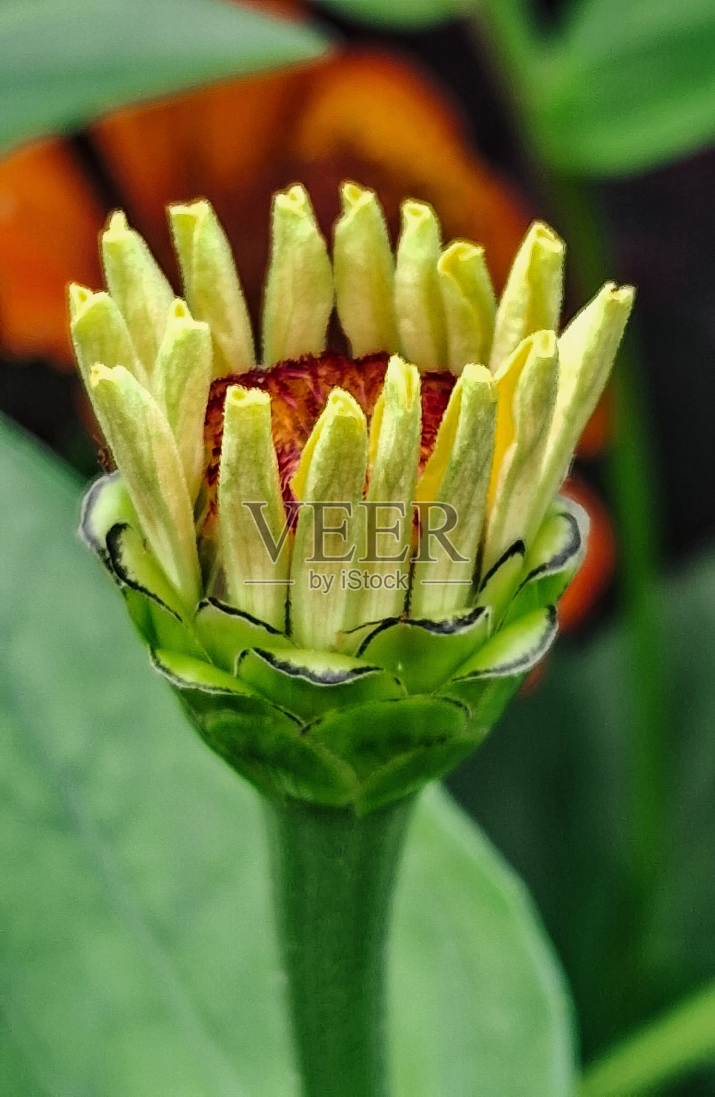 爱照片摄影图片