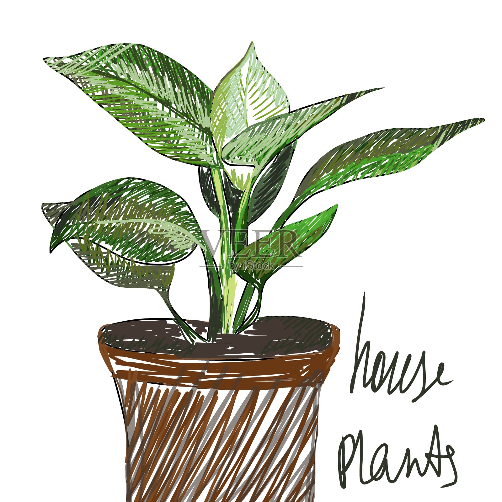 室内植物单，手淹数字图形插图插画图片素材