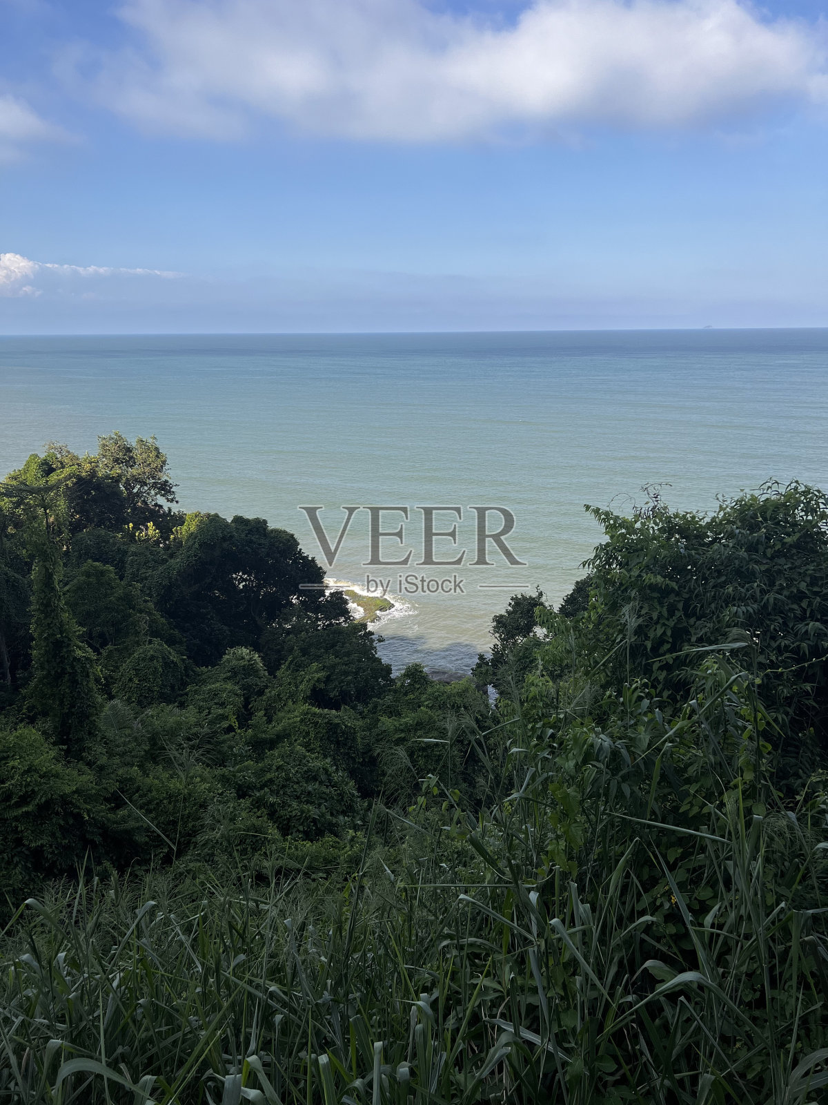 森林景观与大海照片摄影图片