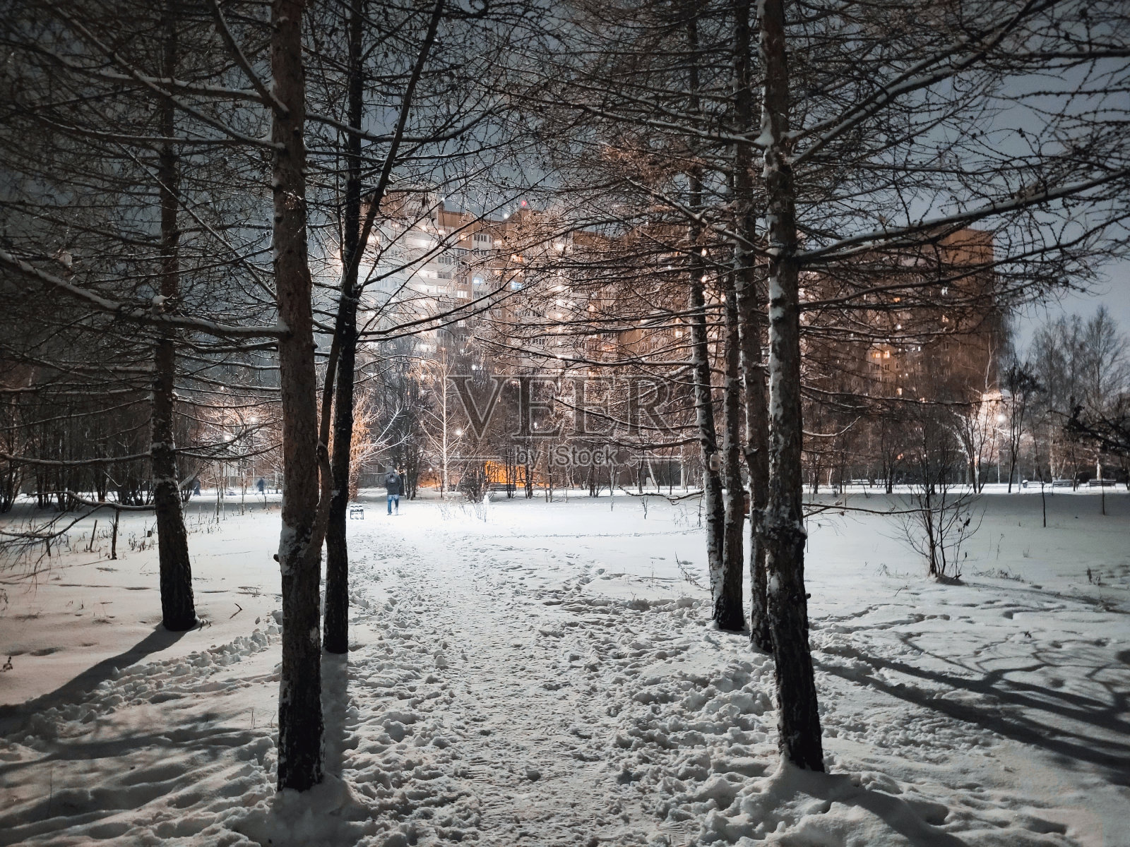 降雪后的城市公园步行街照片摄影图片