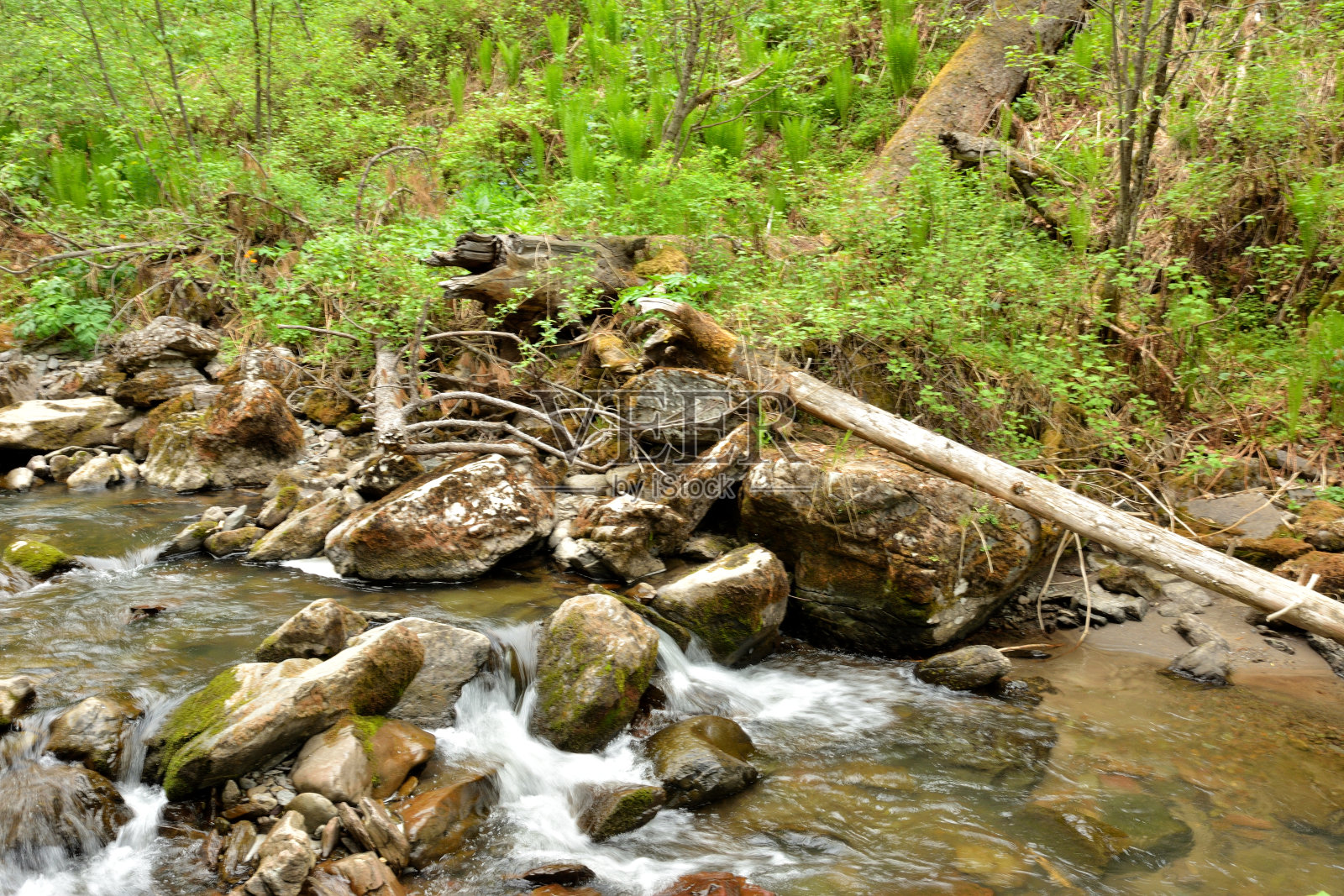 在夏天的一天，在流经森林的山间河流湍急的河床上被砍倒的树木和石头。照片摄影图片
