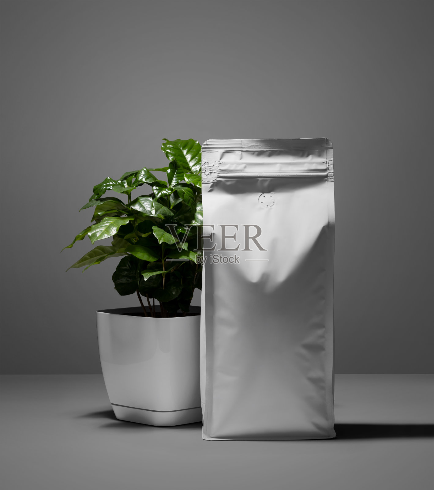 样机的白色袋与阀门，与阿拉比卡在一个锅，空白的狗包与阴影在墙上的背景。照片摄影图片