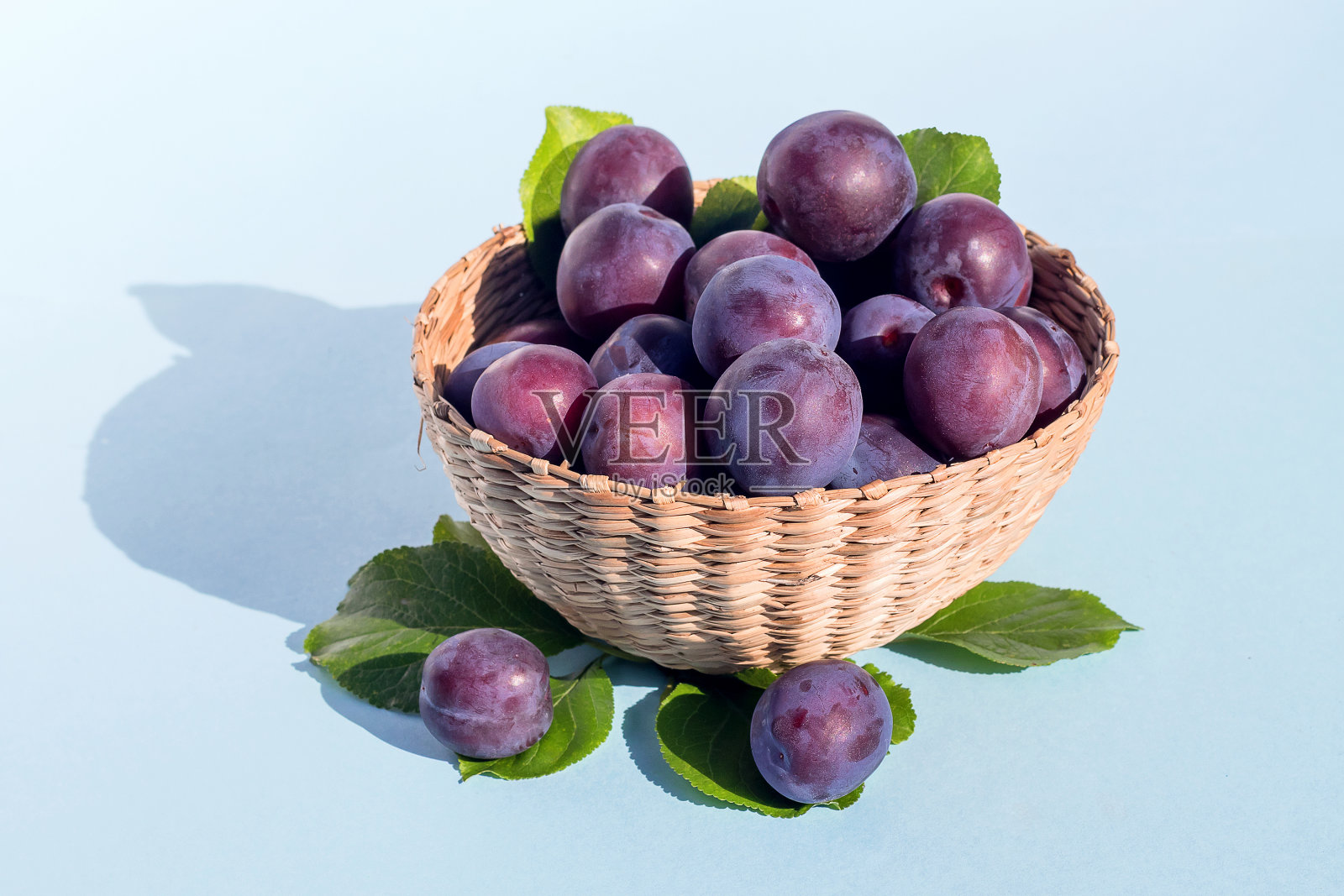 成熟美味的新鲜采摘的花园李子躺在柳条碗里，孤立在蓝色的背景上。照片摄影图片