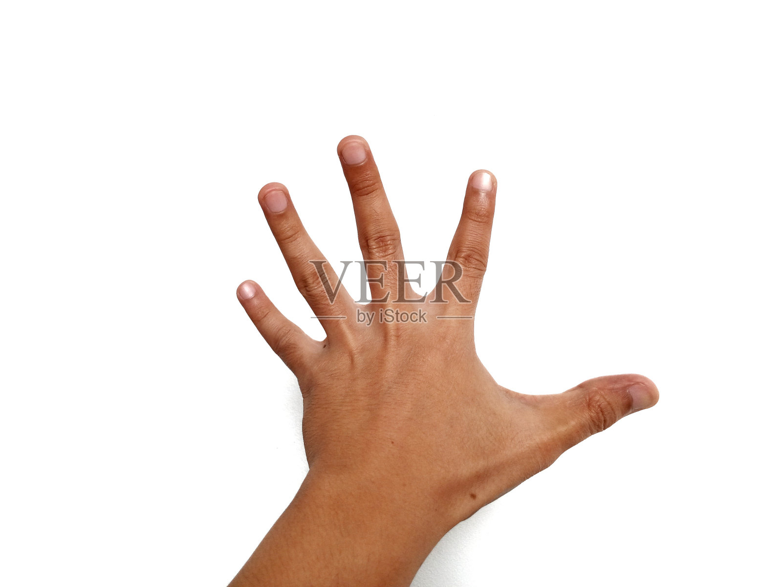 具有主题和手姿势概念的照片照片摄影图片