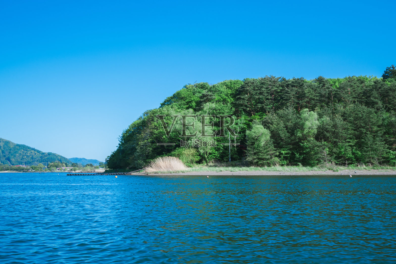 从川口湖上的摩托艇上看到的富士山照片摄影图片