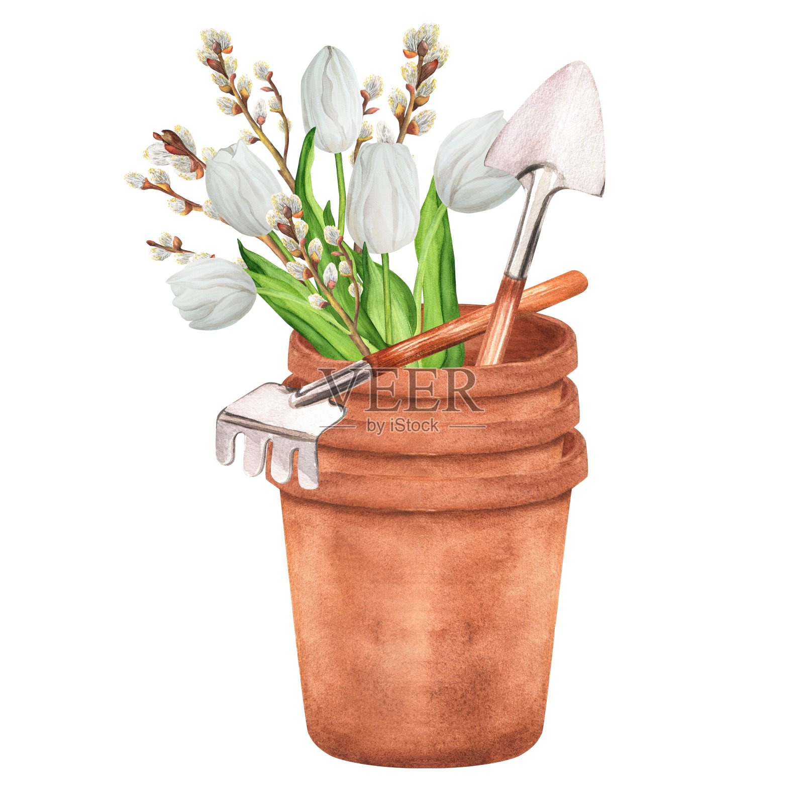 手绘水彩插图。花盆里有园艺工具——耙子和铲子，花束里有白色的郁金香和柳枝插画图片素材