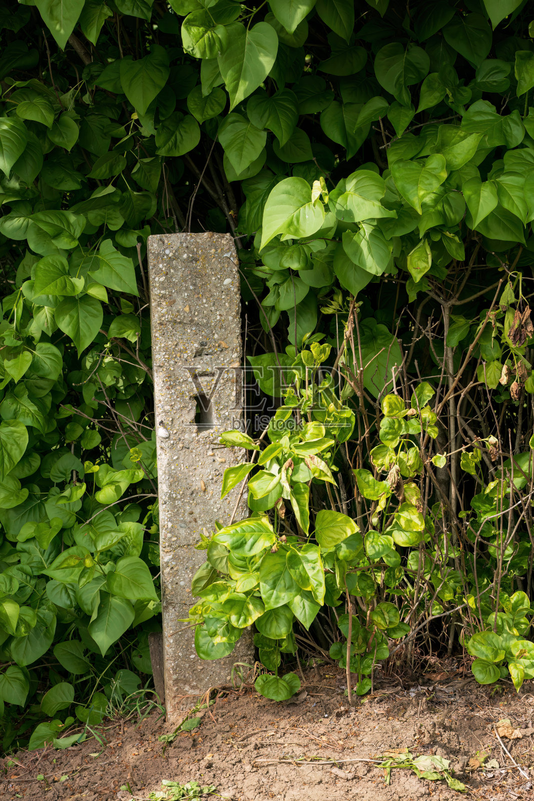 一根古老的灰色混凝土柱子。照片摄影图片