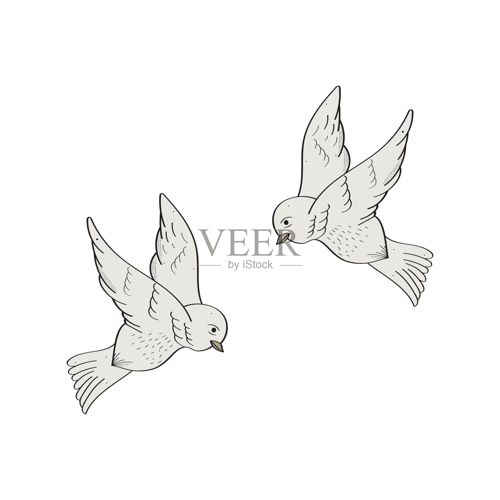 手绘鸟类矢量设计。插画图片素材