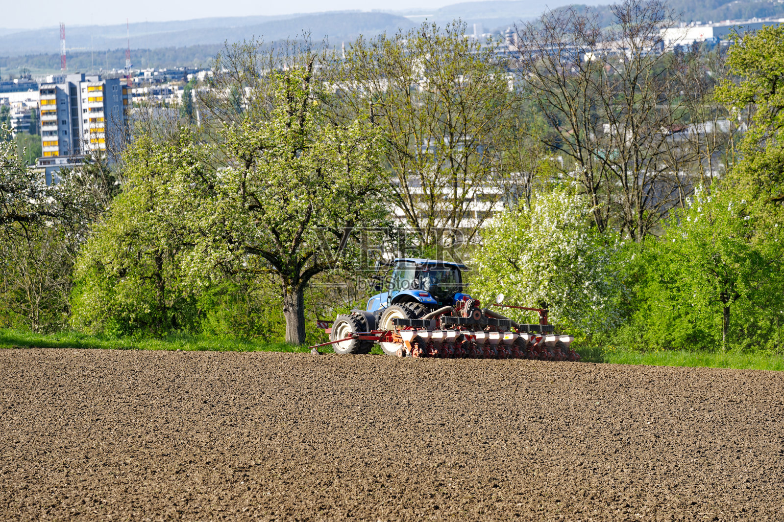 在明媚的阳光下，瑞士小镇的农田里自动播种向日葵种子。照片摄影图片