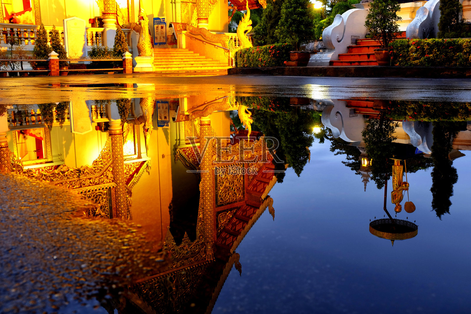 对辛格的反思照片摄影图片