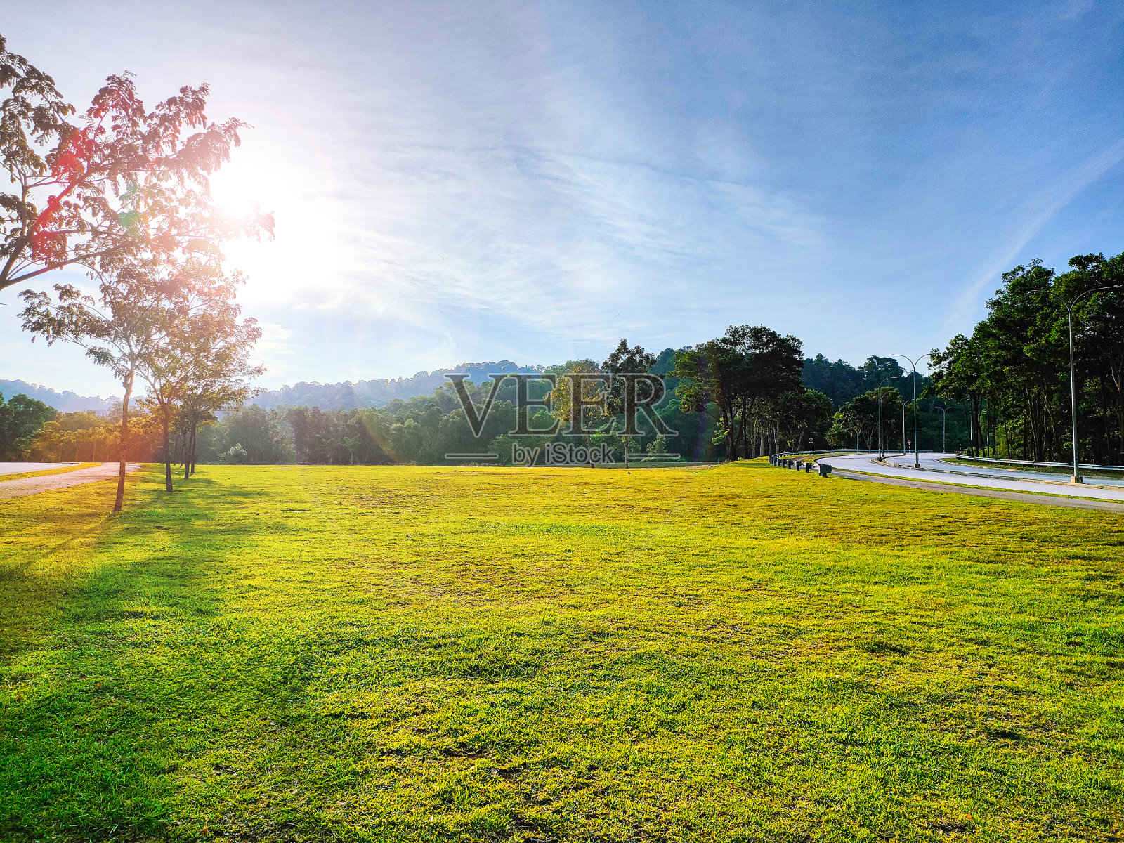 绿色的草地上有树和小路，背景是蓝色的天空照片摄影图片