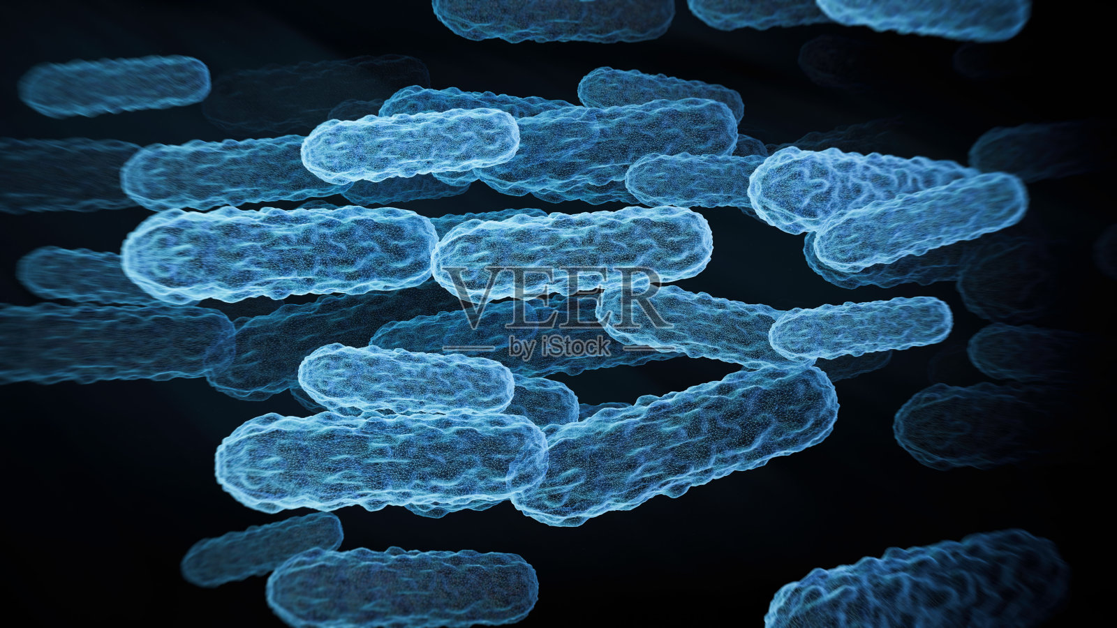 Abs保加利亚乳杆菌照片摄影图片