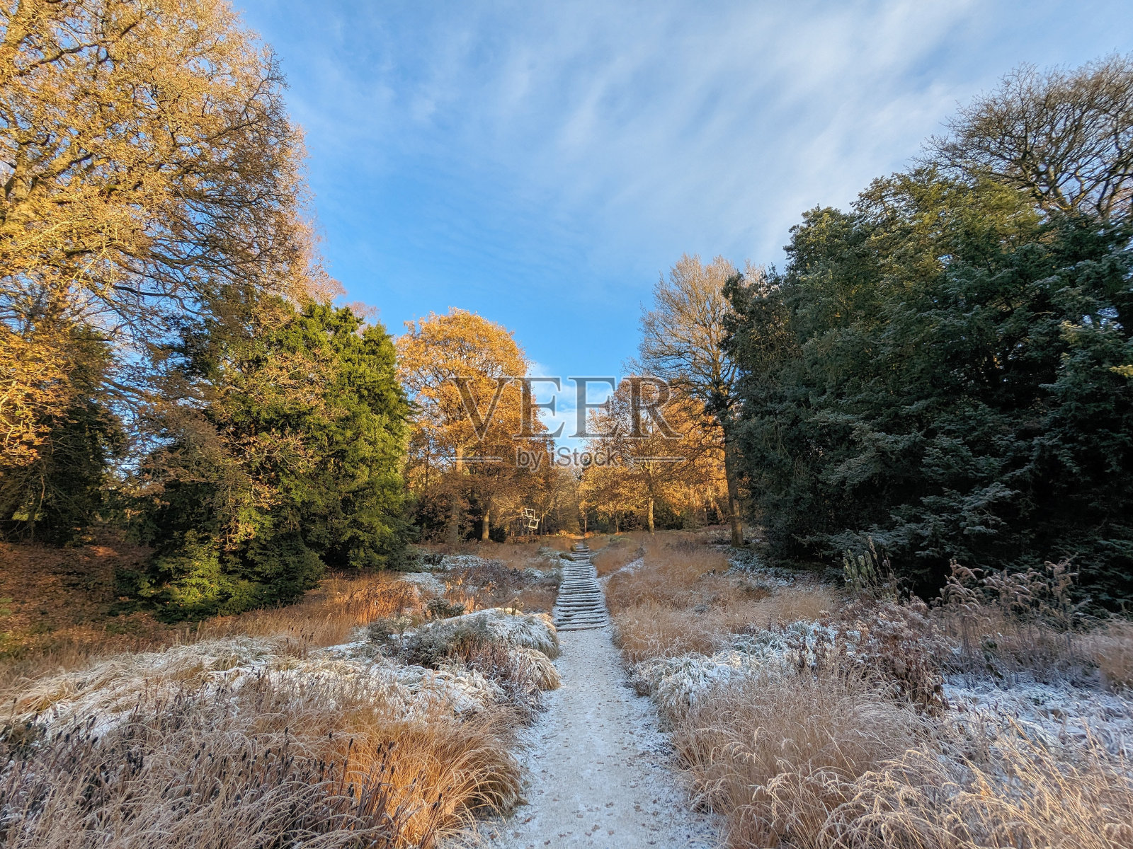 一个寒冷的冬日下午，德比郡的查茨沃斯花园照片摄影图片