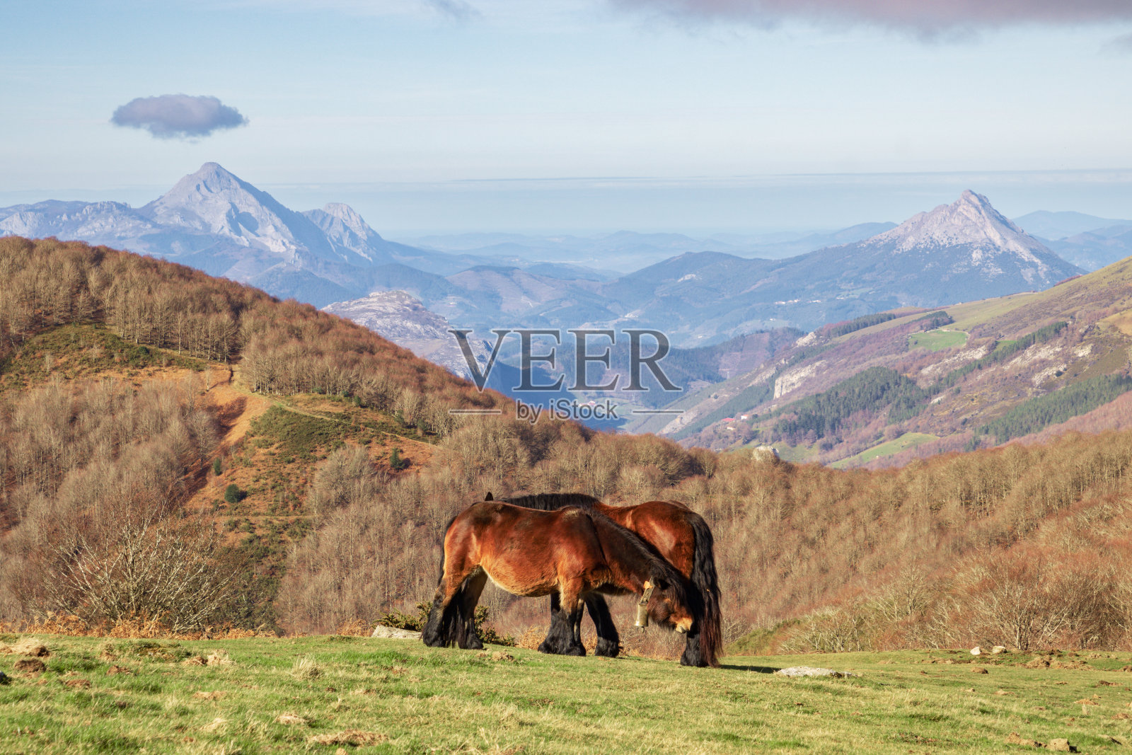 从巴斯克地区pinpil山Aizkorri-Aratz自然公园的美景(西班牙)照片摄影图片