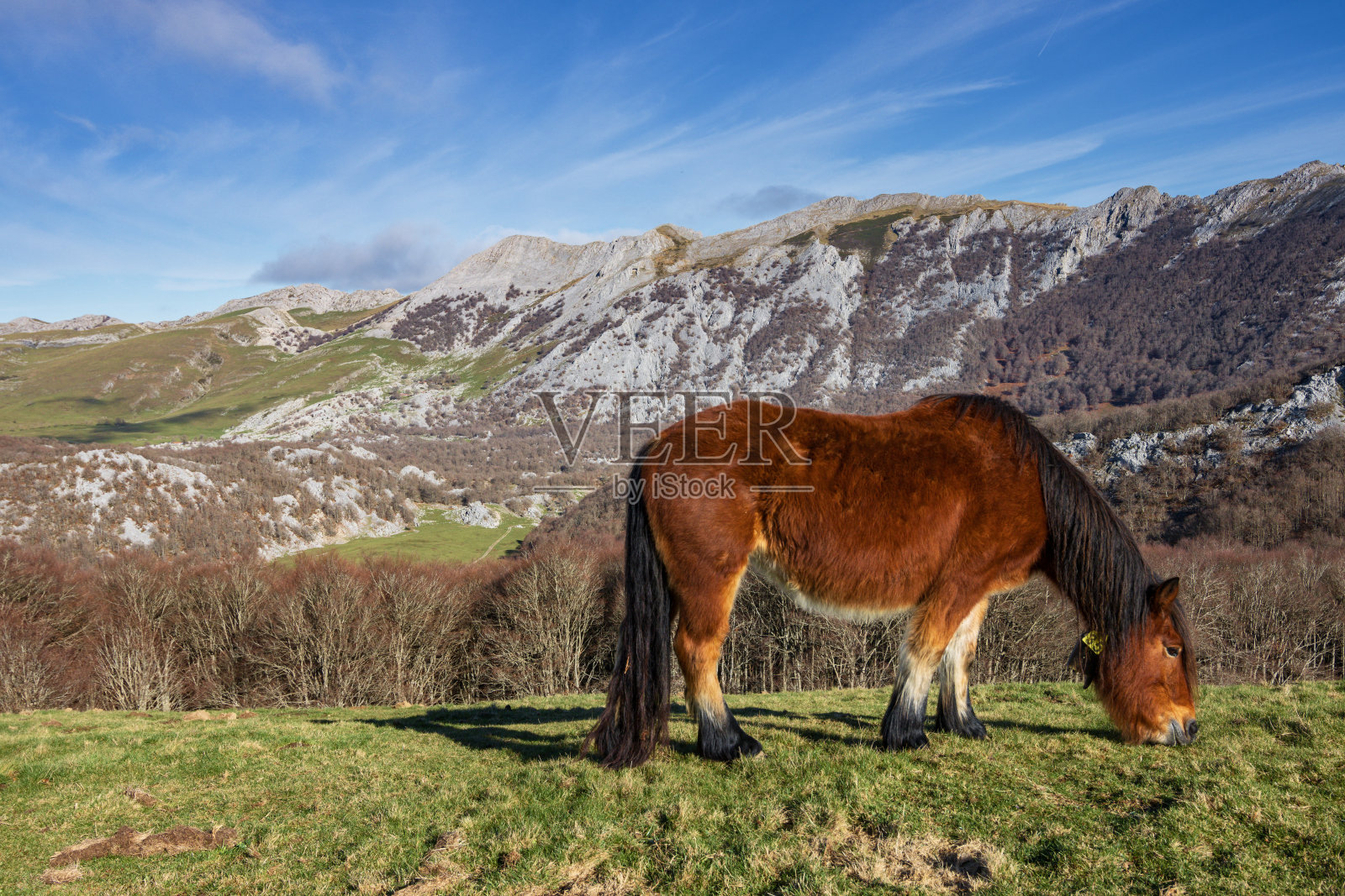 从巴斯克地区pinpil山Aizkorri-Aratz自然公园的美景(西班牙)照片摄影图片