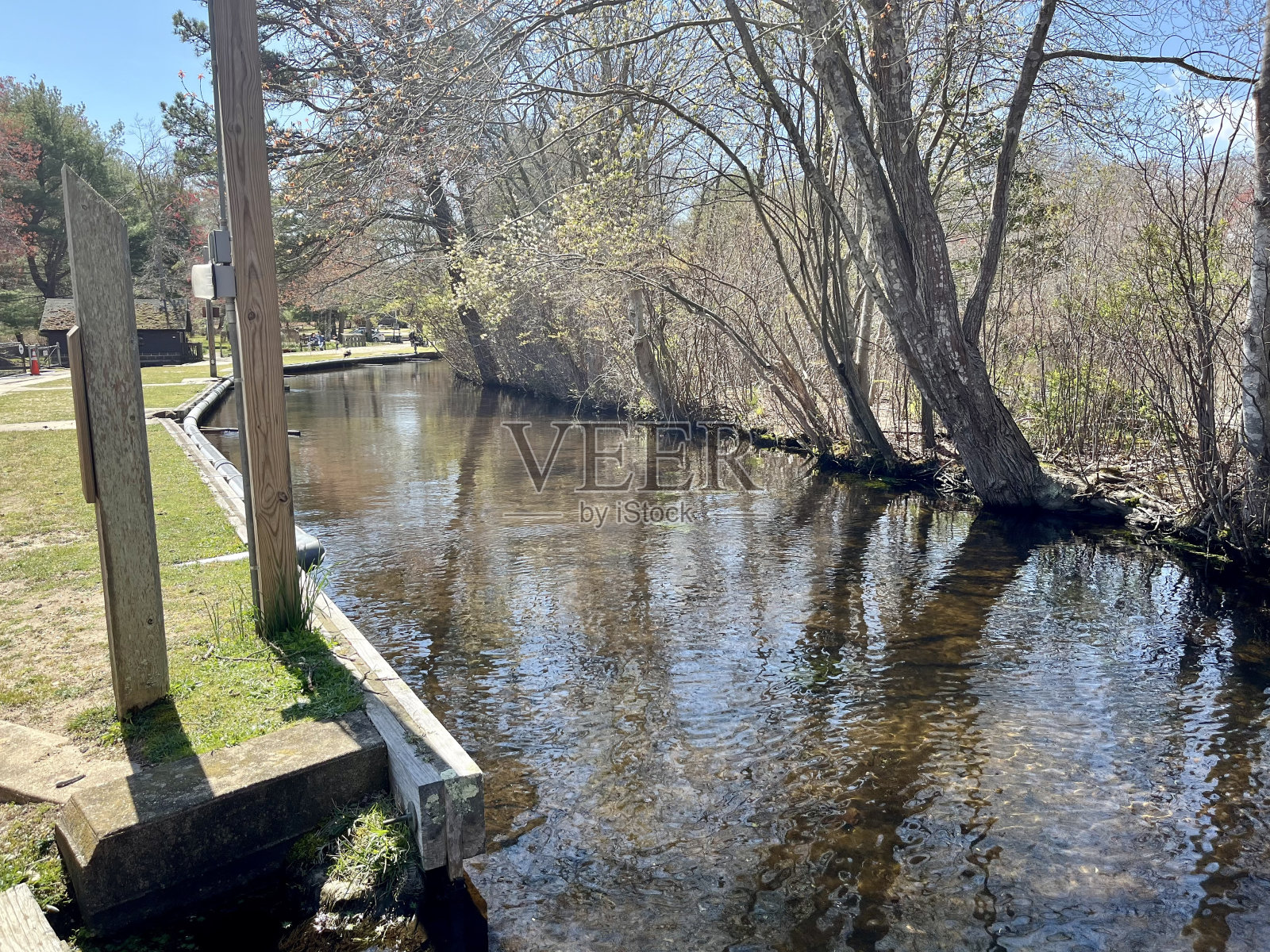 Connetquot河照片摄影图片