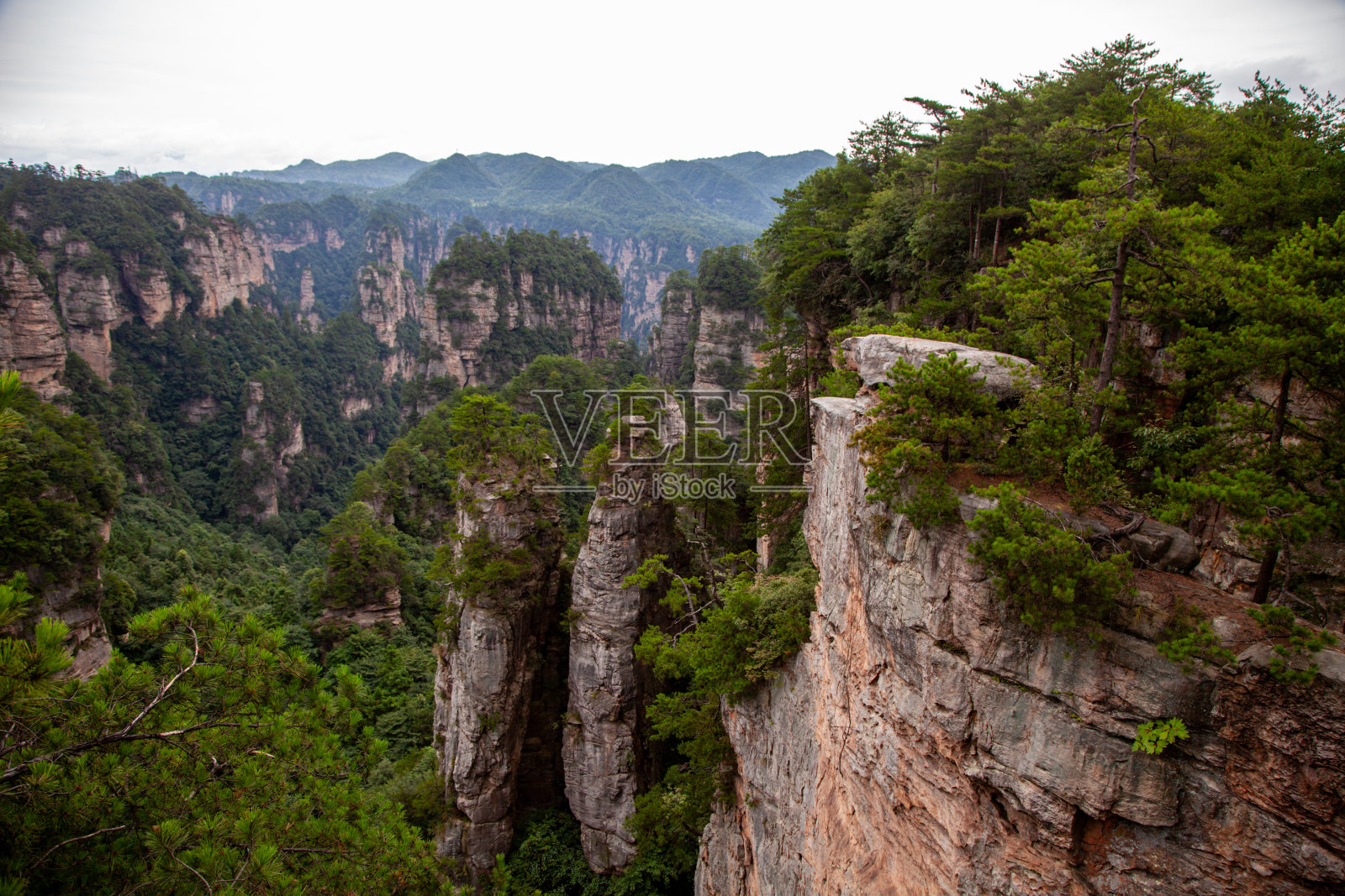 张家界国家森林公园照片摄影图片
