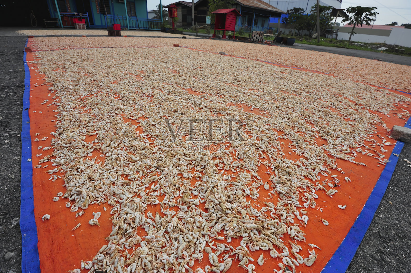 一堆虾壳在室外露天的橙色篷布上照片摄影图片