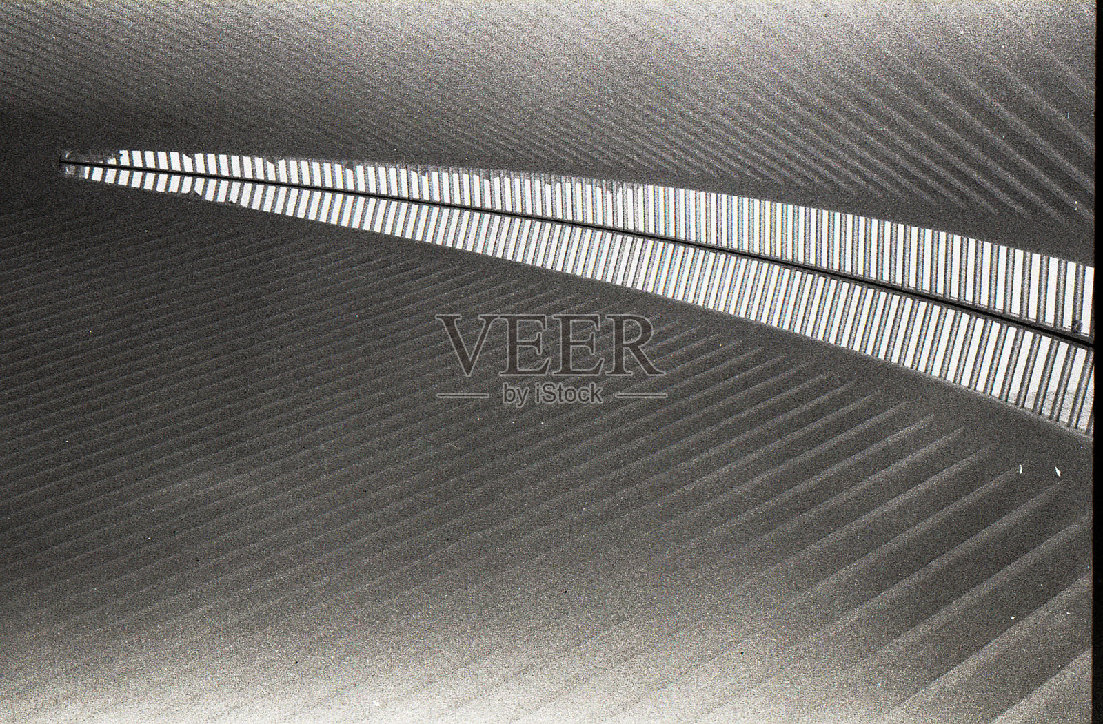 黑白纽约模拟摄影照片摄影图片