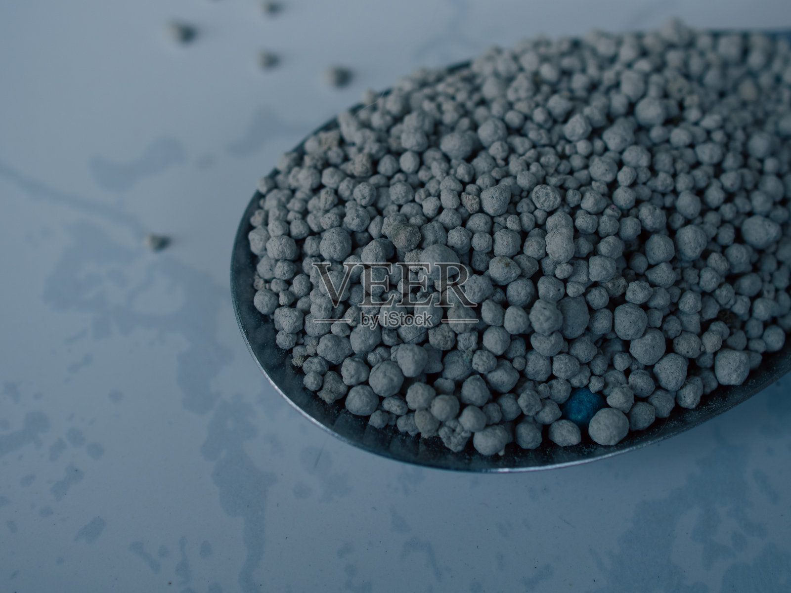 猫砂特写照片摄影图片