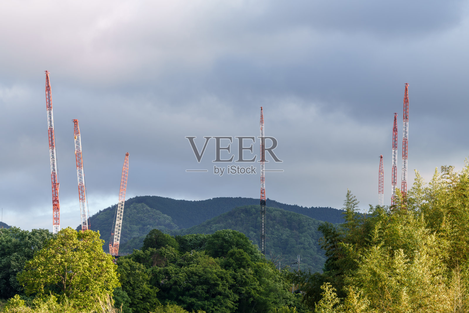 风景有许多鹤可见照片摄影图片