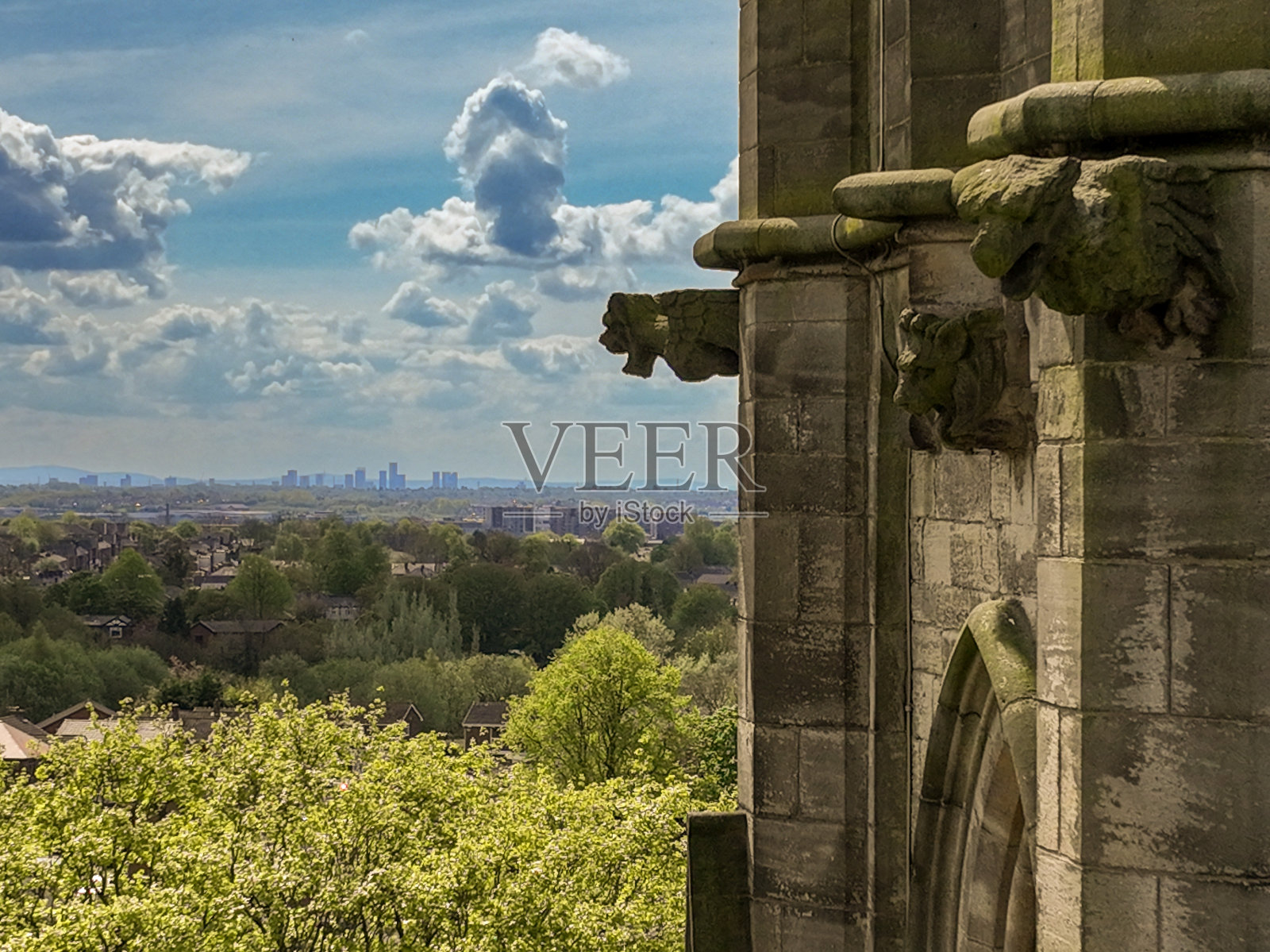 夏天的石像鬼照片摄影图片