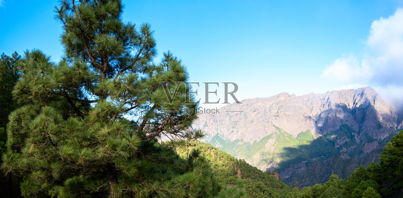 西班牙加那利群岛拉帕尔马的卡尔德拉德塔布里恩特国家公园里的康伯雷。照片摄影图片