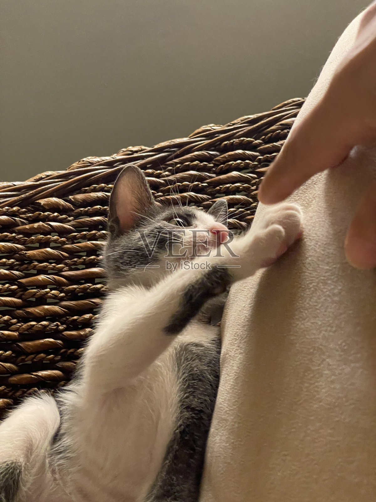 伸出援手照片摄影图片