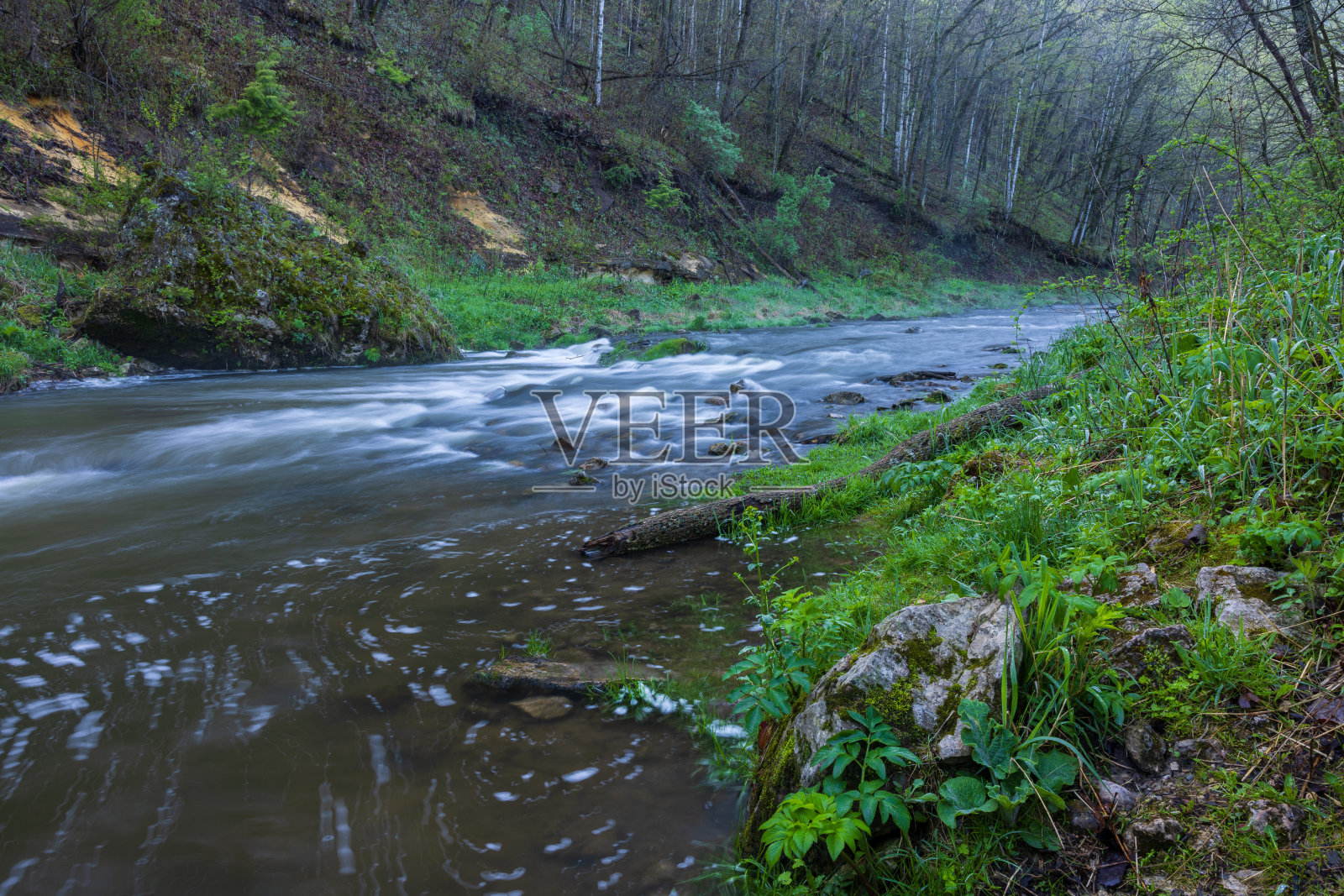 春天的树林里的一条河照片摄影图片