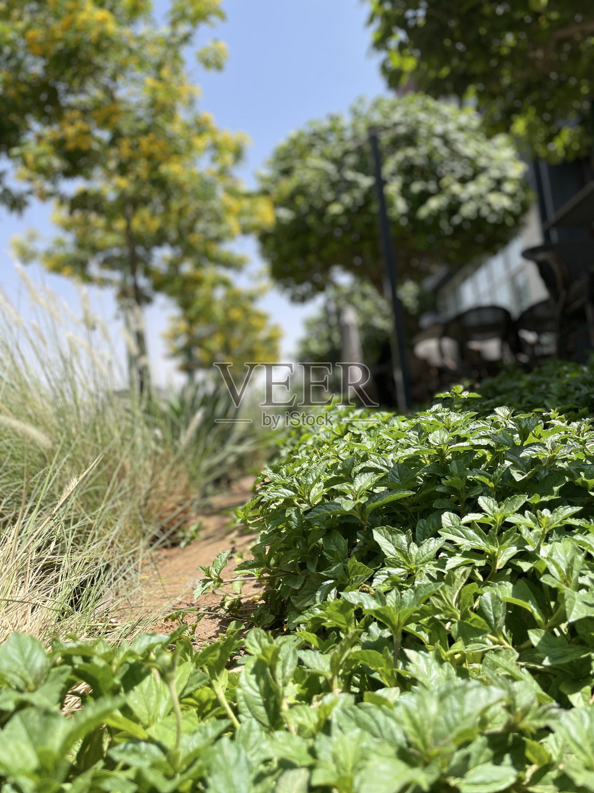 生活照片摄影图片