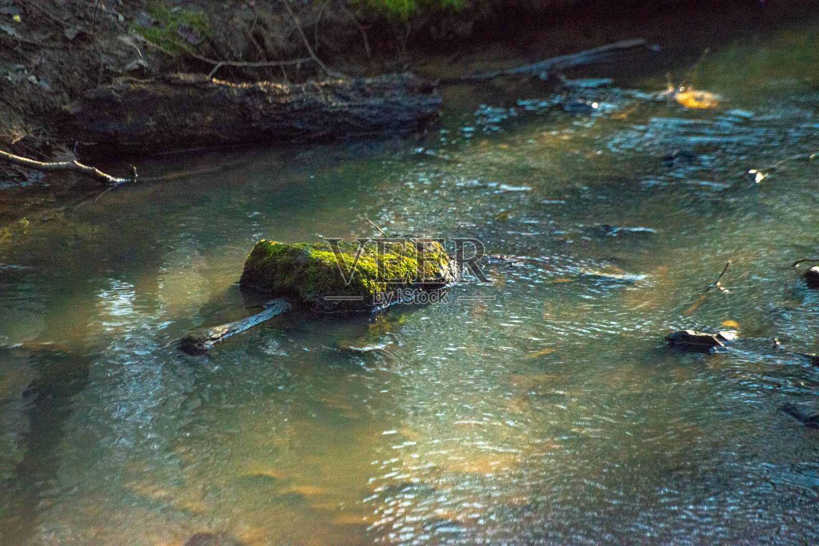 静谧的流水：森林中美丽的溪流照片摄影图片