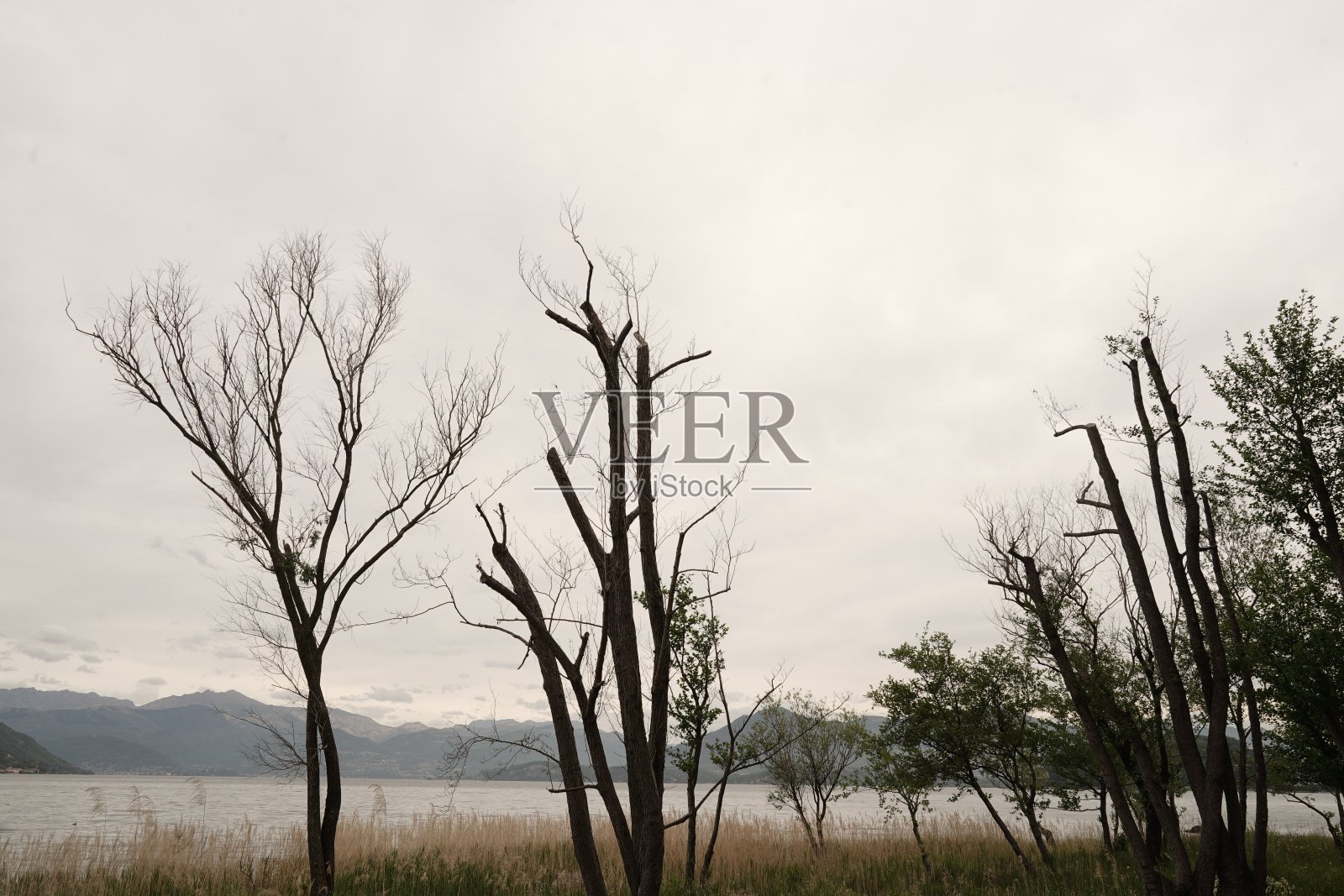 意大利马焦雷湖照片摄影图片
