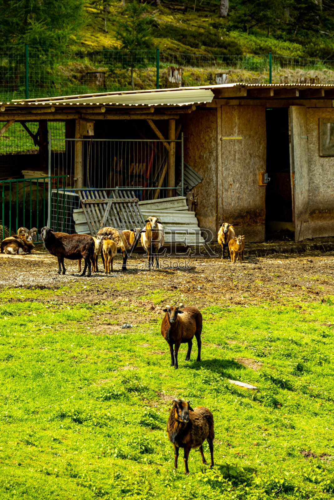 在典型的四月天气下，在施马尔卡尔登镇的Höhenweg小径上进行短途徒步旅行照片摄影图片