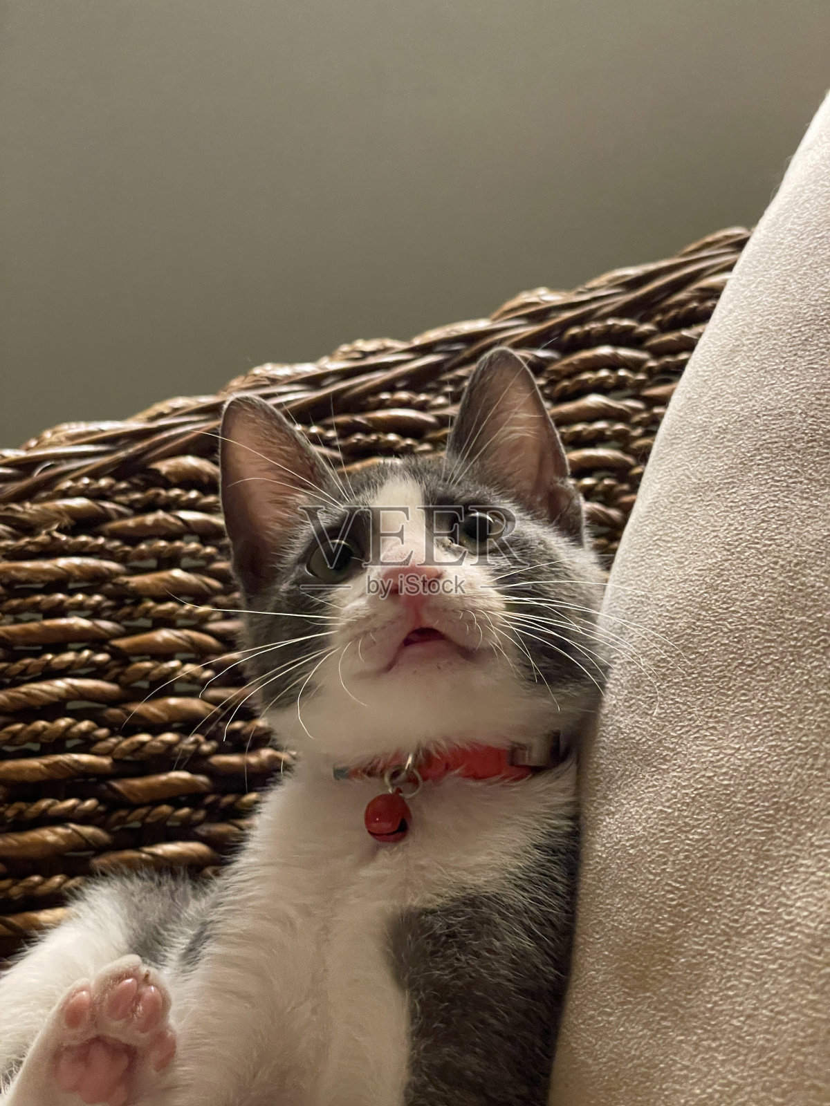 酷照片摄影图片