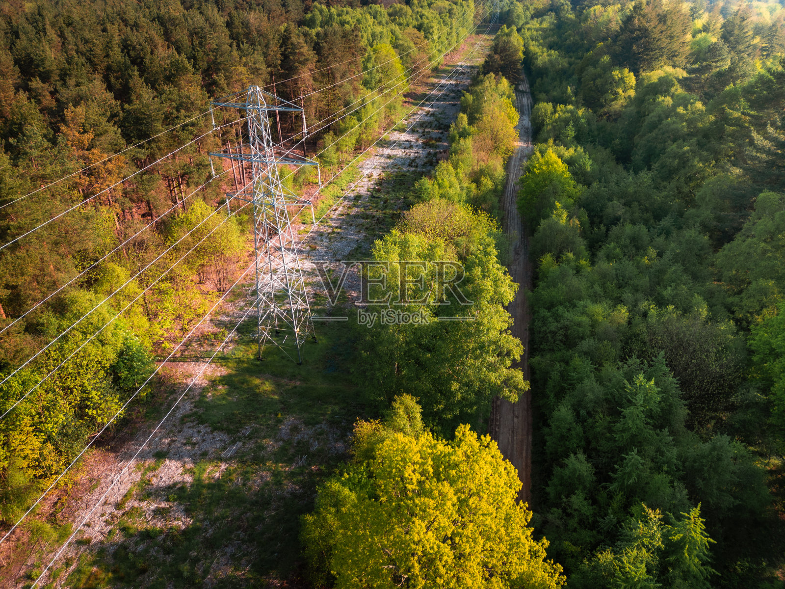 森林景观中的电塔鸟瞰图照片摄影图片