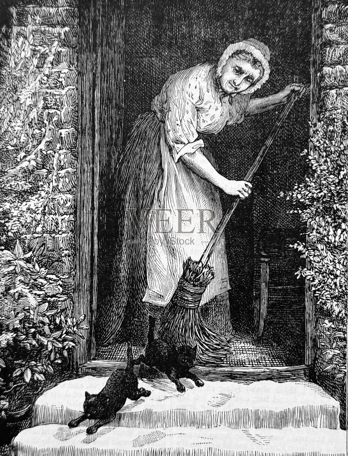 老妇人扫了入口处，赶走了两只黑猫插画图片素材