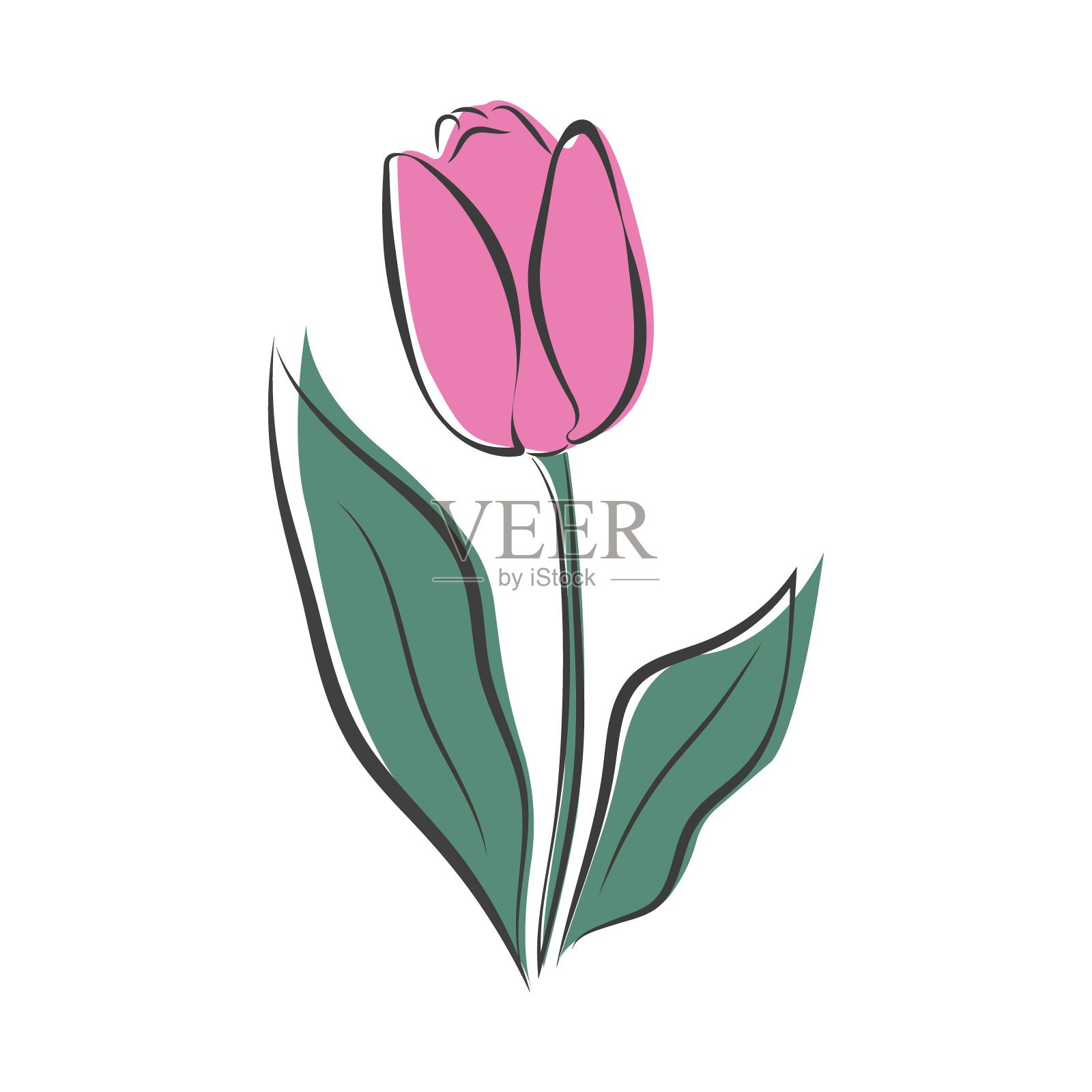 矢量插图在线艺术风格的郁金香插画图片素材