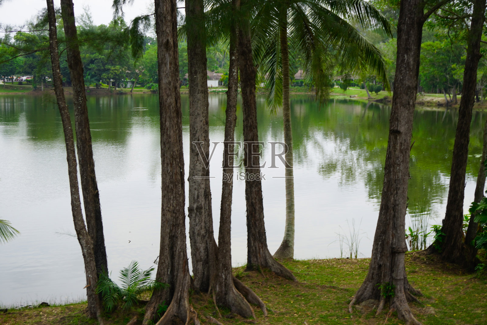 泰国普吉岛泻湖地区。自然和房子，海滩和大海照片摄影图片