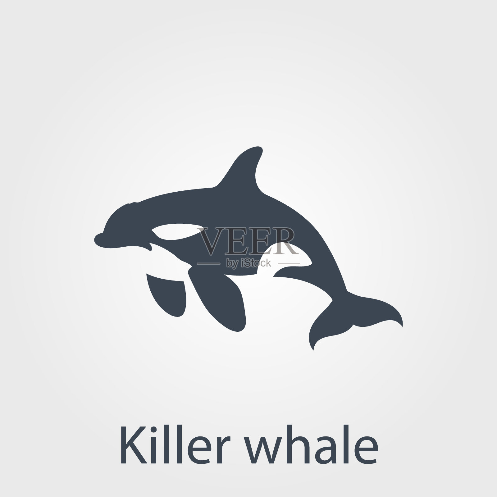 虎鲸图标插画图片素材