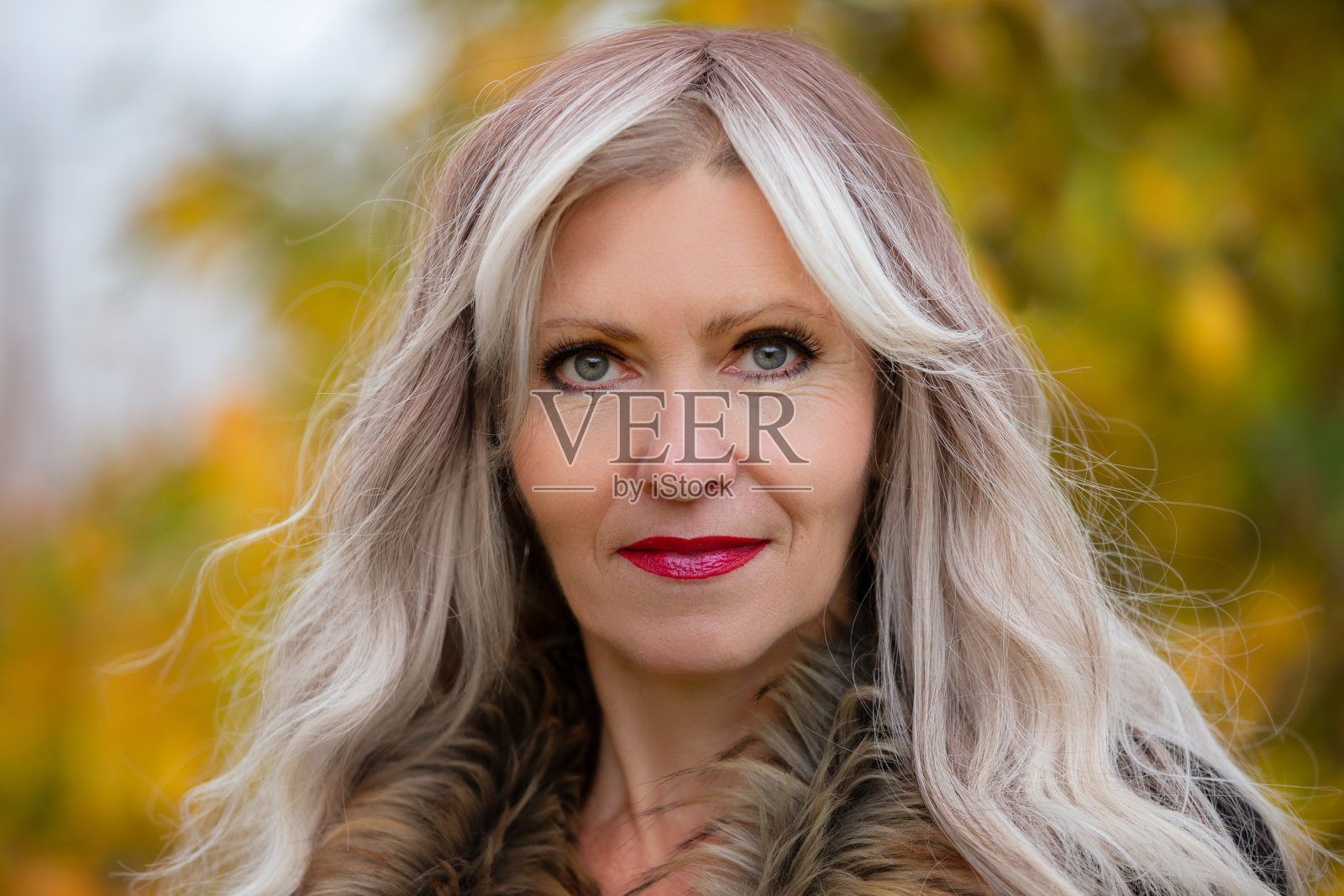 一个美丽的白发老妇人的肖像在秋天的背景特写。照片摄影图片