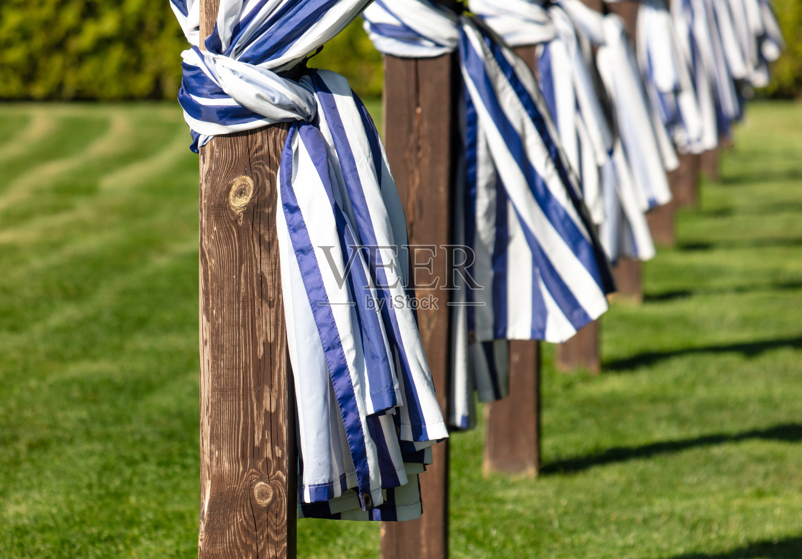 窗帘在自然的树冠杆上照片摄影图片